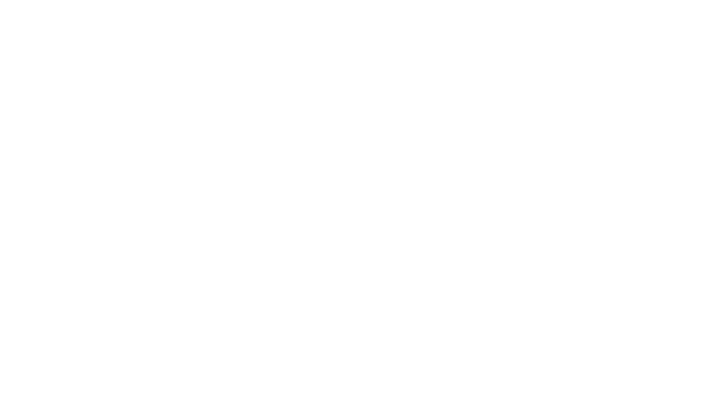 Stellar_Executive_Search_White