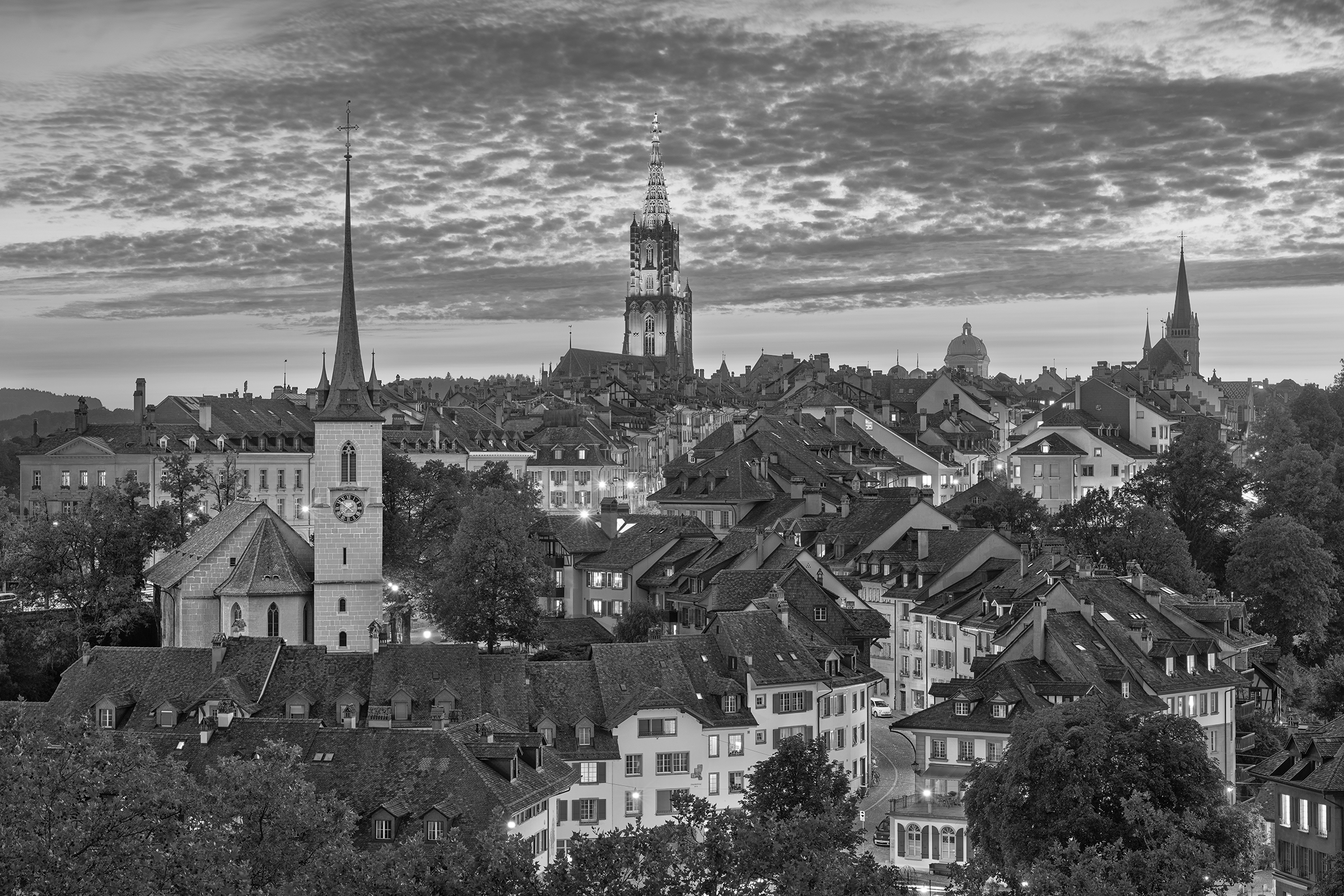 Stellar_Executive_Search_Bern