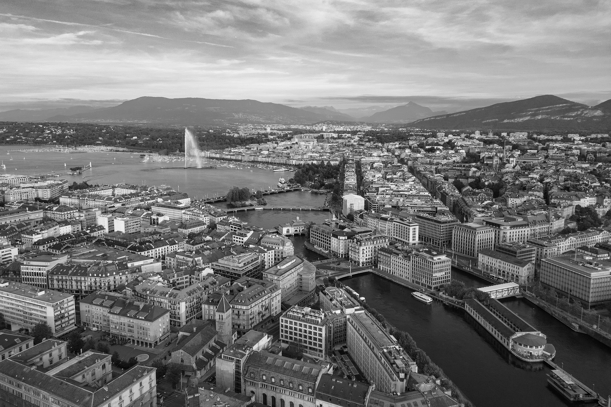 Stellar_Executive_Search_Geneva