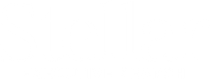 Stellar_Executive_Search_White